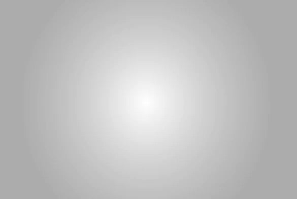 Lee Filters 400 Lee Lux - 48" x 25' Roll