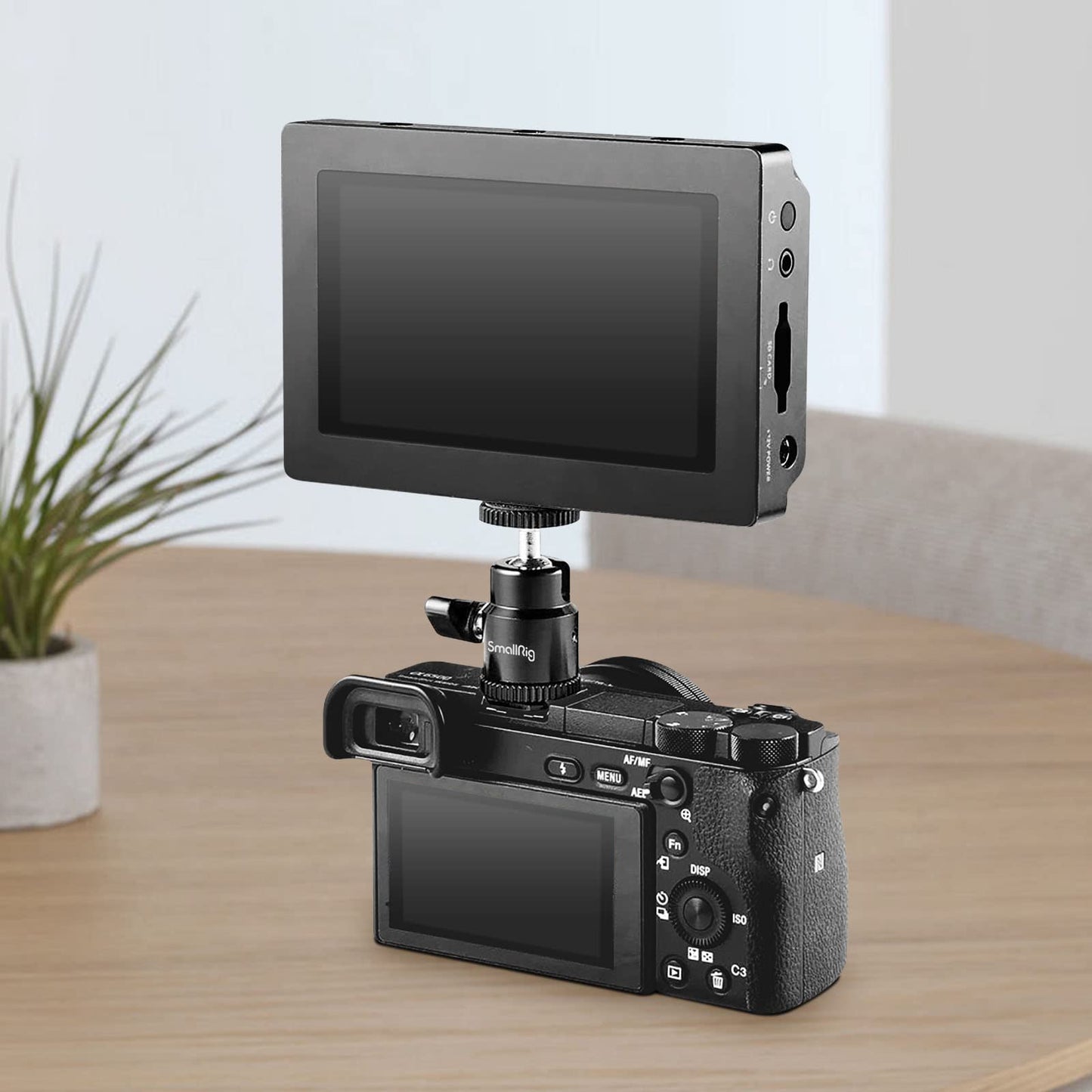SmallRig 1/4" Camera Hot Shoe Mount, Ballhead Tripod with Additional 1/4" Screw, 2pcs Pack - 2059