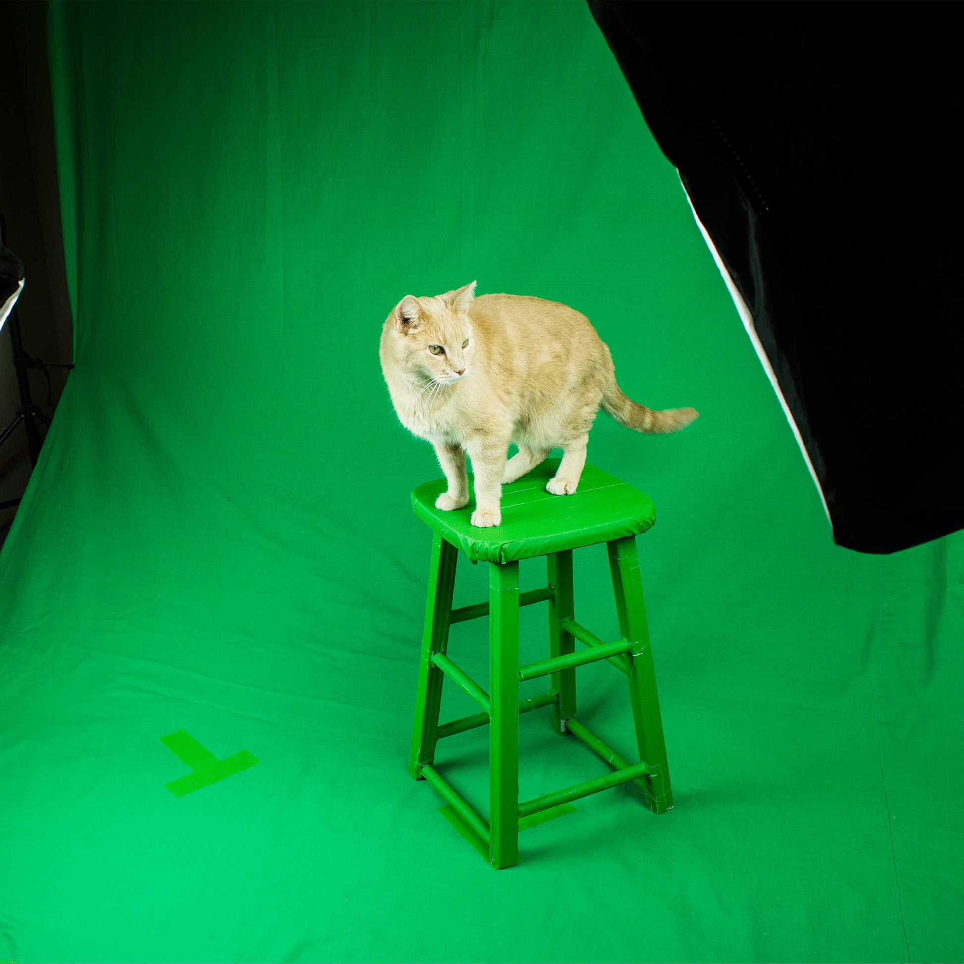 Gaffer Tape 2 Inch x 30 Yards - Grip Support Store