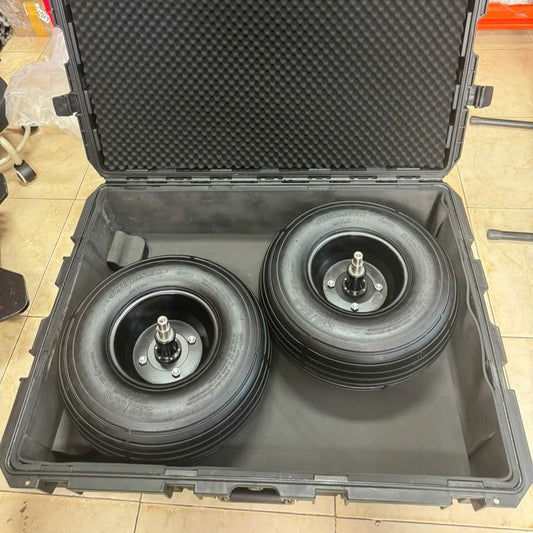 Raptor Rickshaw Mini Case