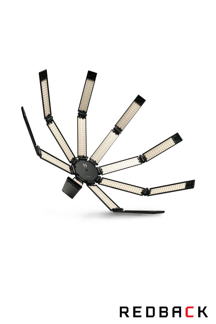 REDBACK DELUXE KIT (Redback basic kit plus LCD/soft eggrate and 180 degree Teaser) - Grip Support Store