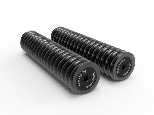 Heavy Springs for Raptor Z