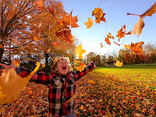 GoPro HERO10 Black - Waterproof Action Camera with Front LCD and Touch Rear Screens, 5.3K60 Ultra HD Video, 23MP Photos, 1080p Live Streaming, Webcam, Stabilization - Grip Support Store