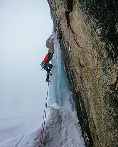 GoPro HERO10 Black - Waterproof Action Camera with Front LCD and Touch Rear Screens, 5.3K60 Ultra HD Video, 23MP Photos, 1080p Live Streaming, Webcam, Stabilization - Grip Support Store